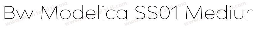Bw Modelica SS01 Medium Expanded字体转换